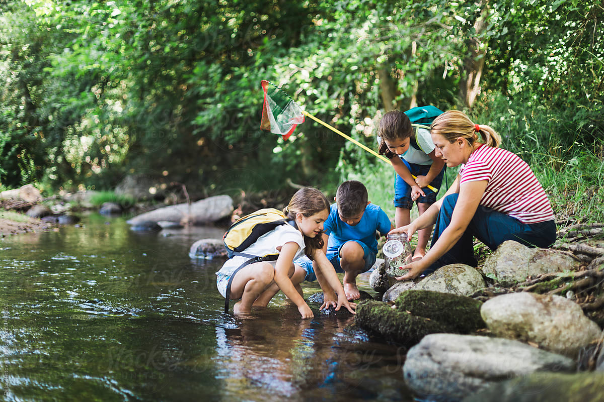 Schoolchildren explore the nature by the river.