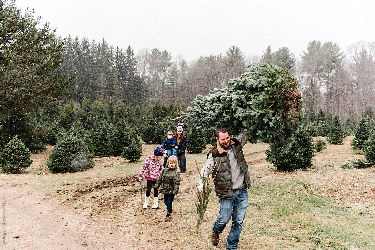 Dad carrying Christmas tree and family following him