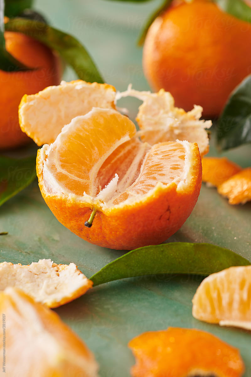 Arrangement Of Citrus Fruit Slices by Stocksy Contributor Jeff Wasserman  - Stocksy