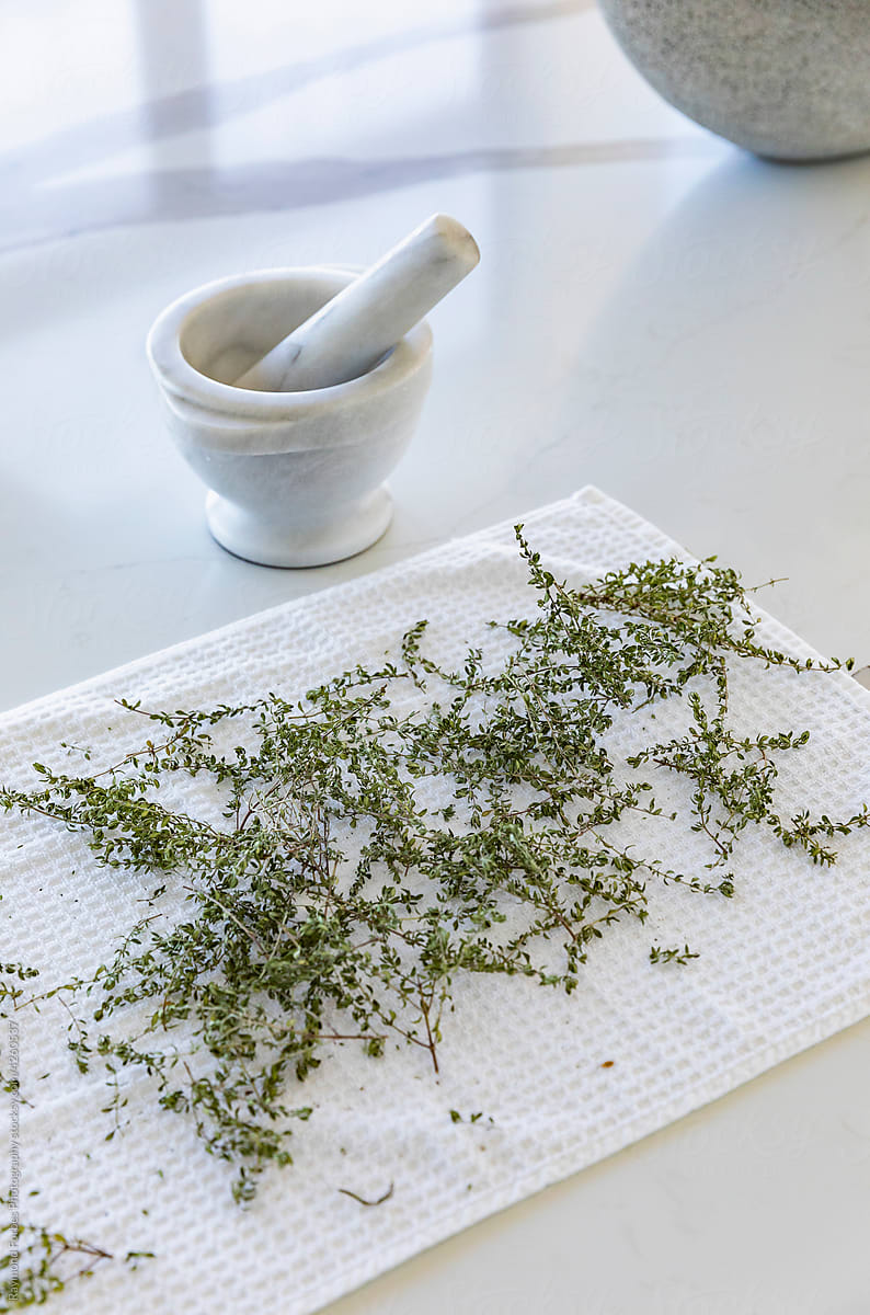Fresh Thyme from Garden drying on Countertop