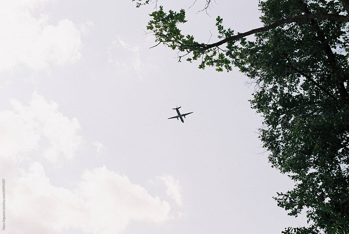 Airplane Flying Over Trees