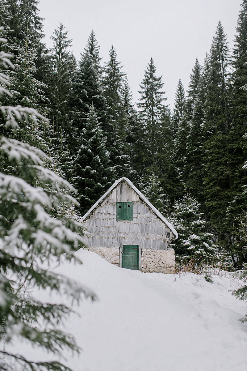 Hut In The Winter Forest