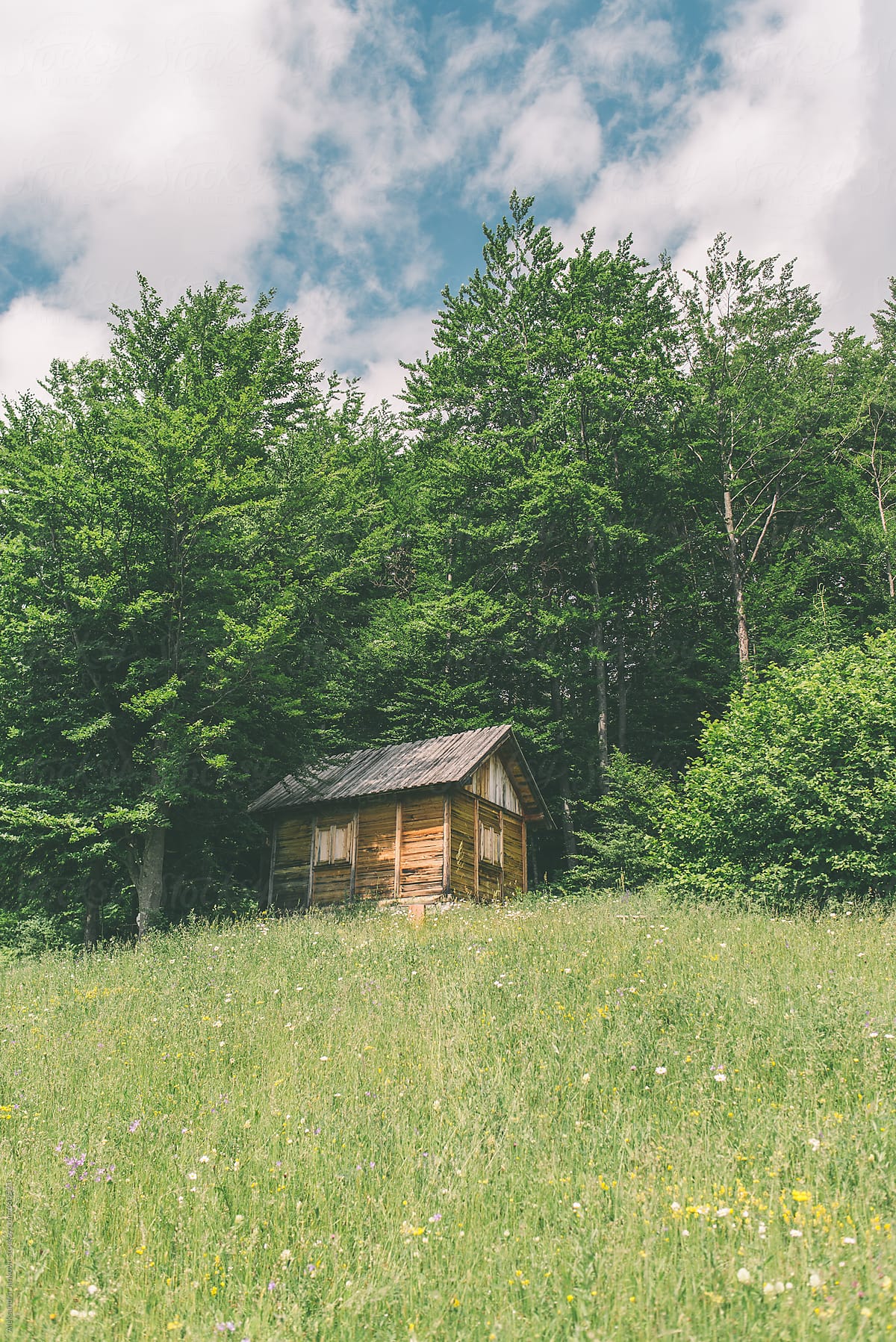 Small Wooden House in the Forest