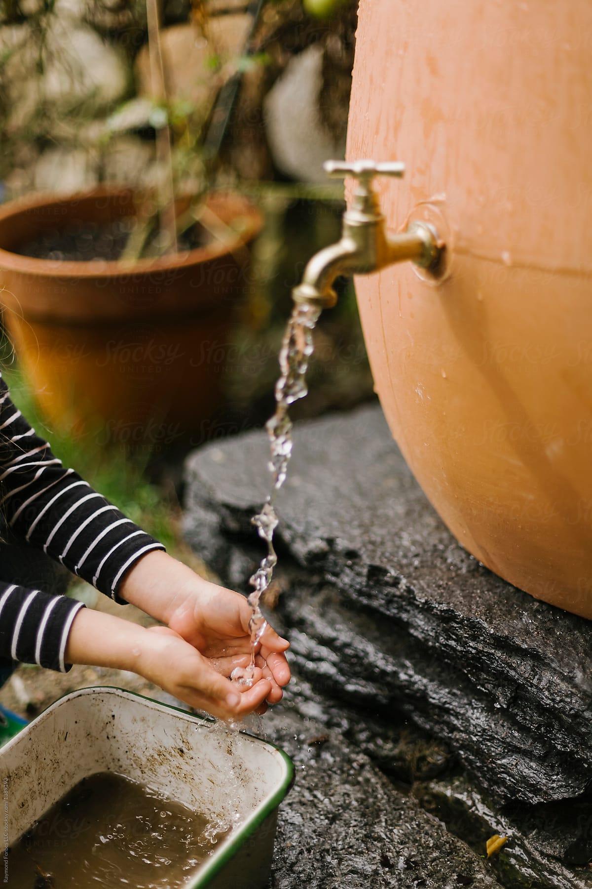 Hand of child  in Water Spigot of Rain Barrel