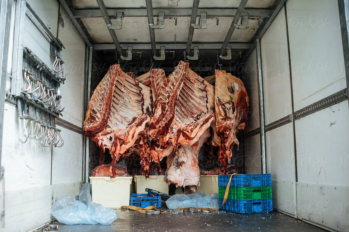 Meat in industrial fridge