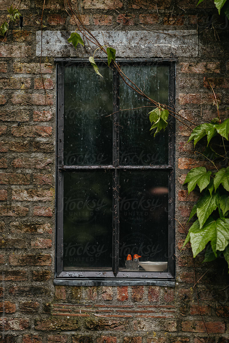 Nostalgic Window with rain droplets