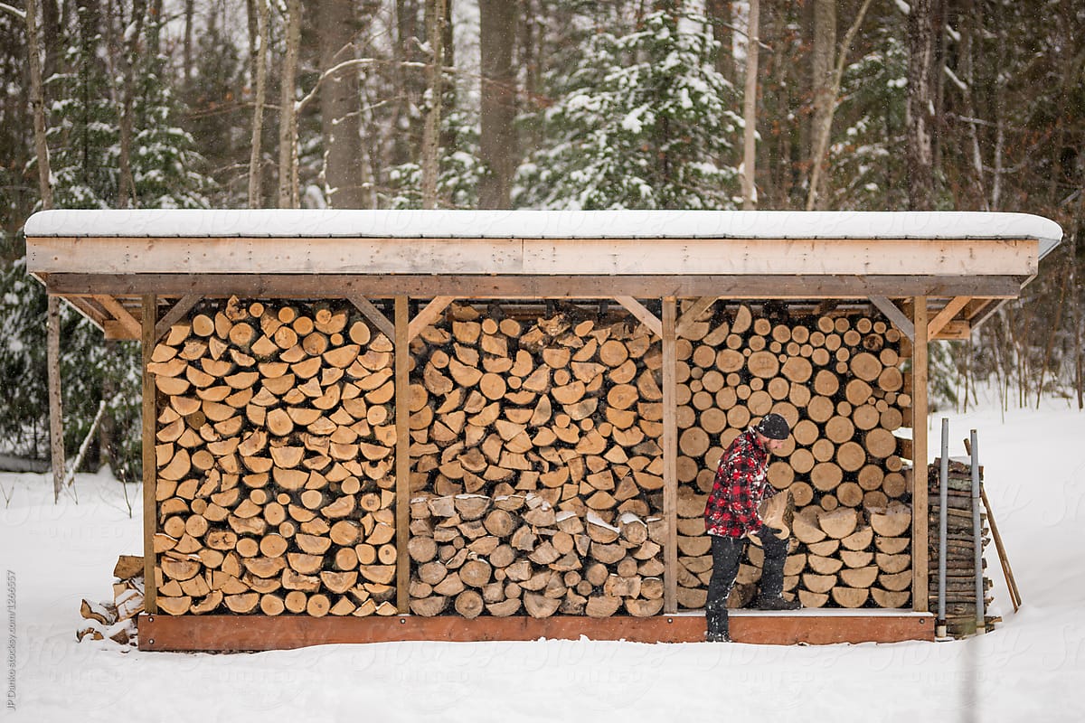 Man With Flannel Jacket Stacking Wood At Cottage Winter Wood Pile