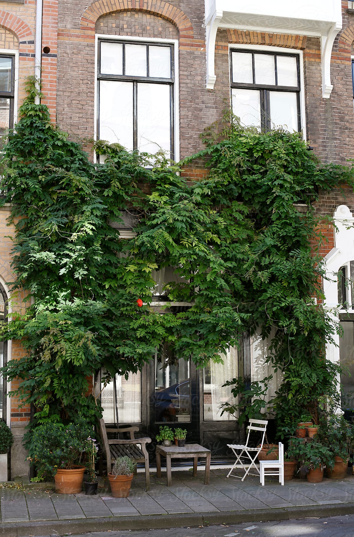 facade of a house with shrub