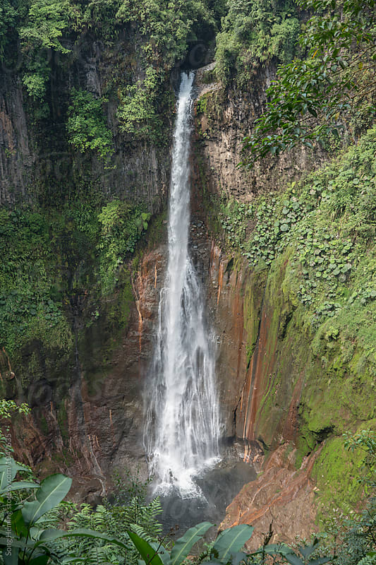 Waterfall in the rain forest