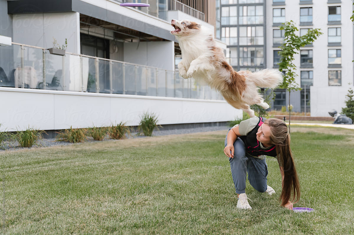 Dog jumping over cynologist to catch frisbee
