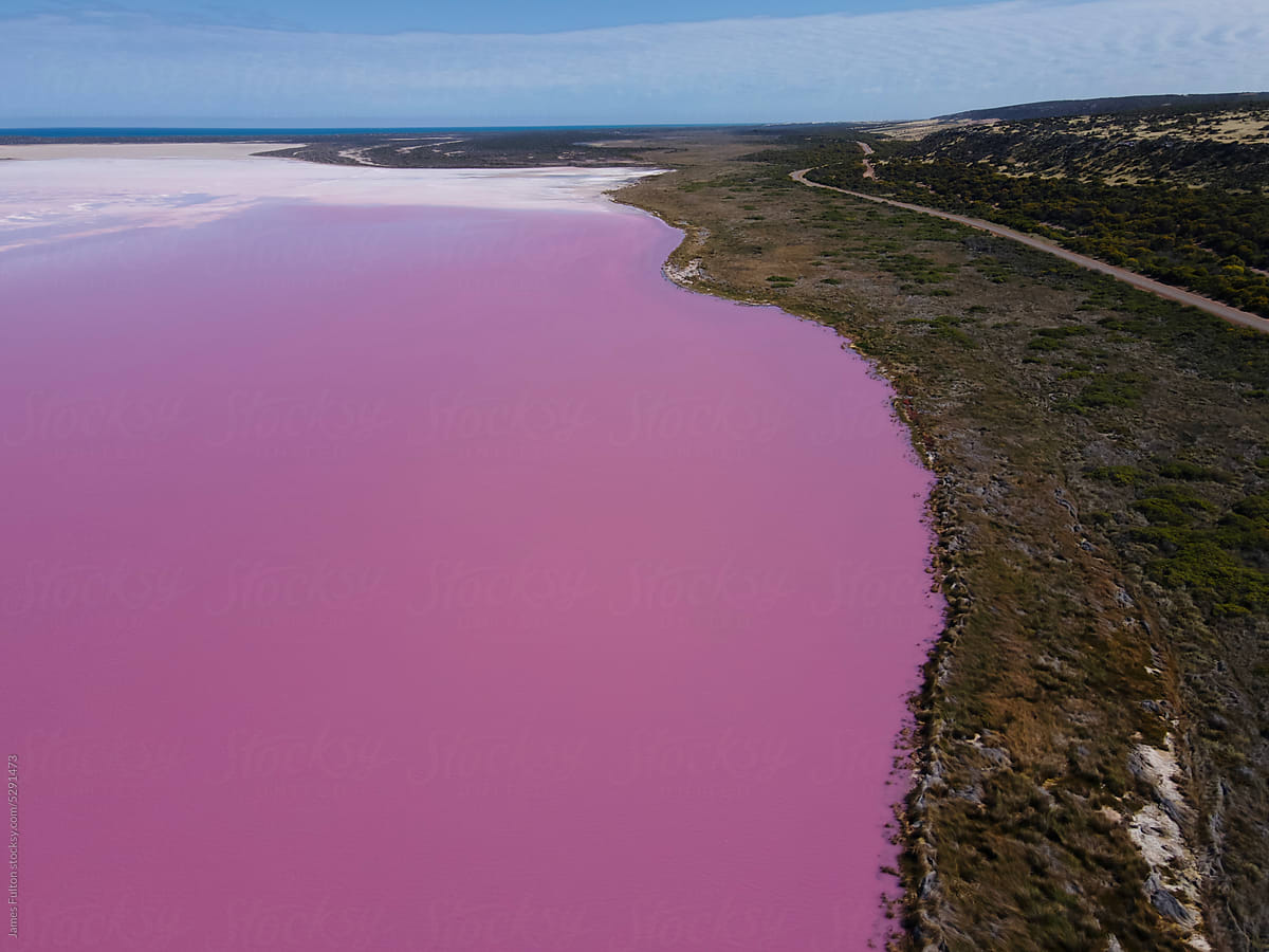 Aerial view of a Pink lake next to road and ocean