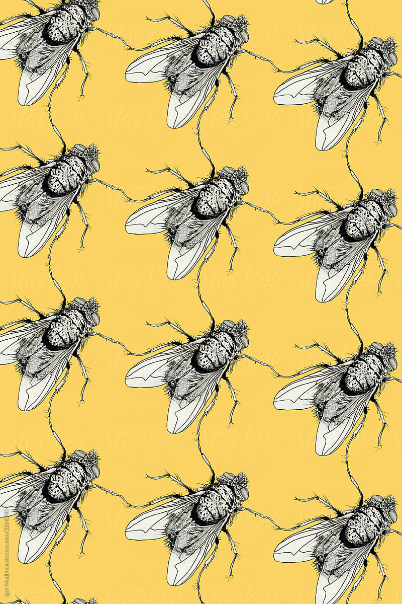 a drawing of a group of flies on a yellow background