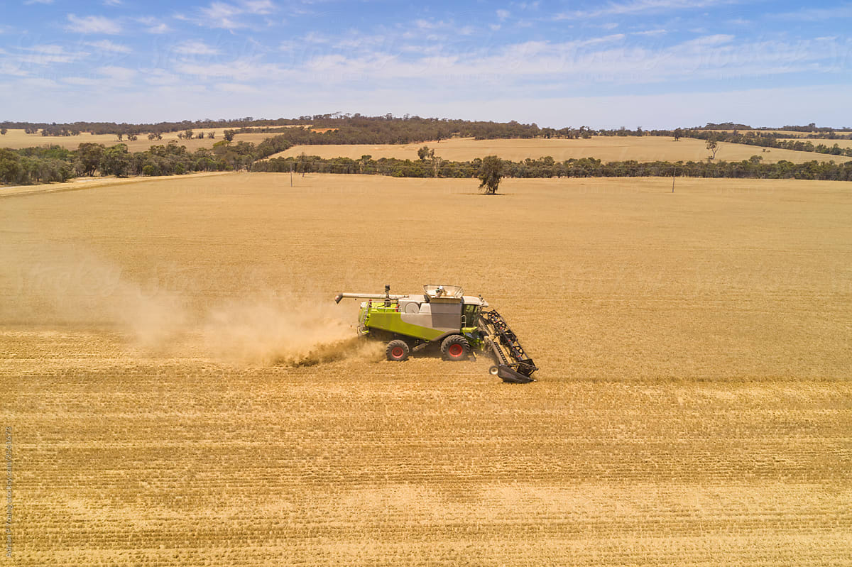 Barley Harvest Aerial