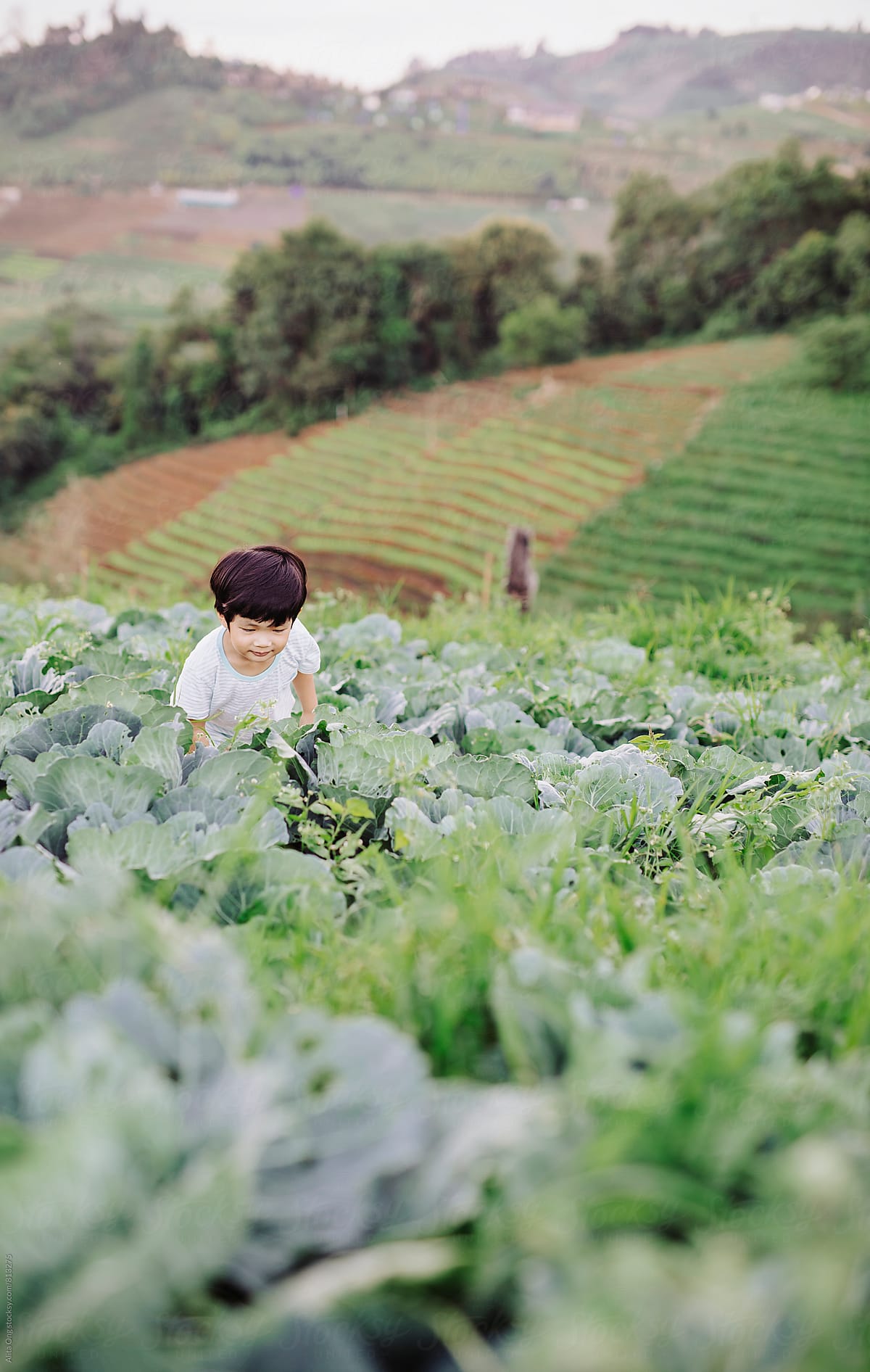 Little child at vegetable farm