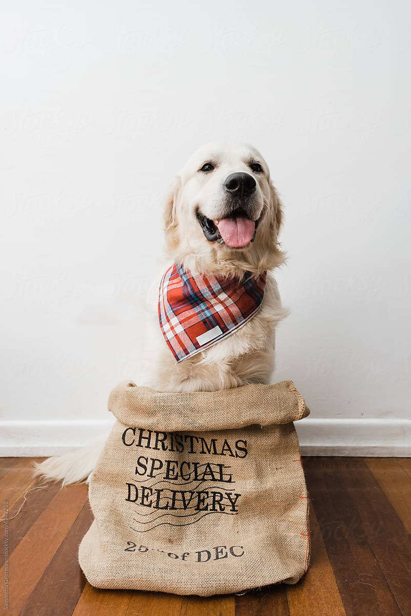 christmas delivery