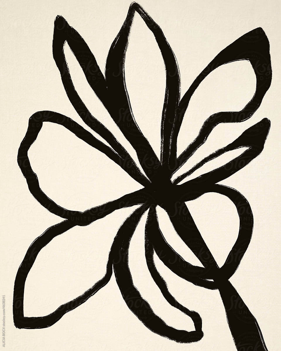Simple Botanical Drawing In Black