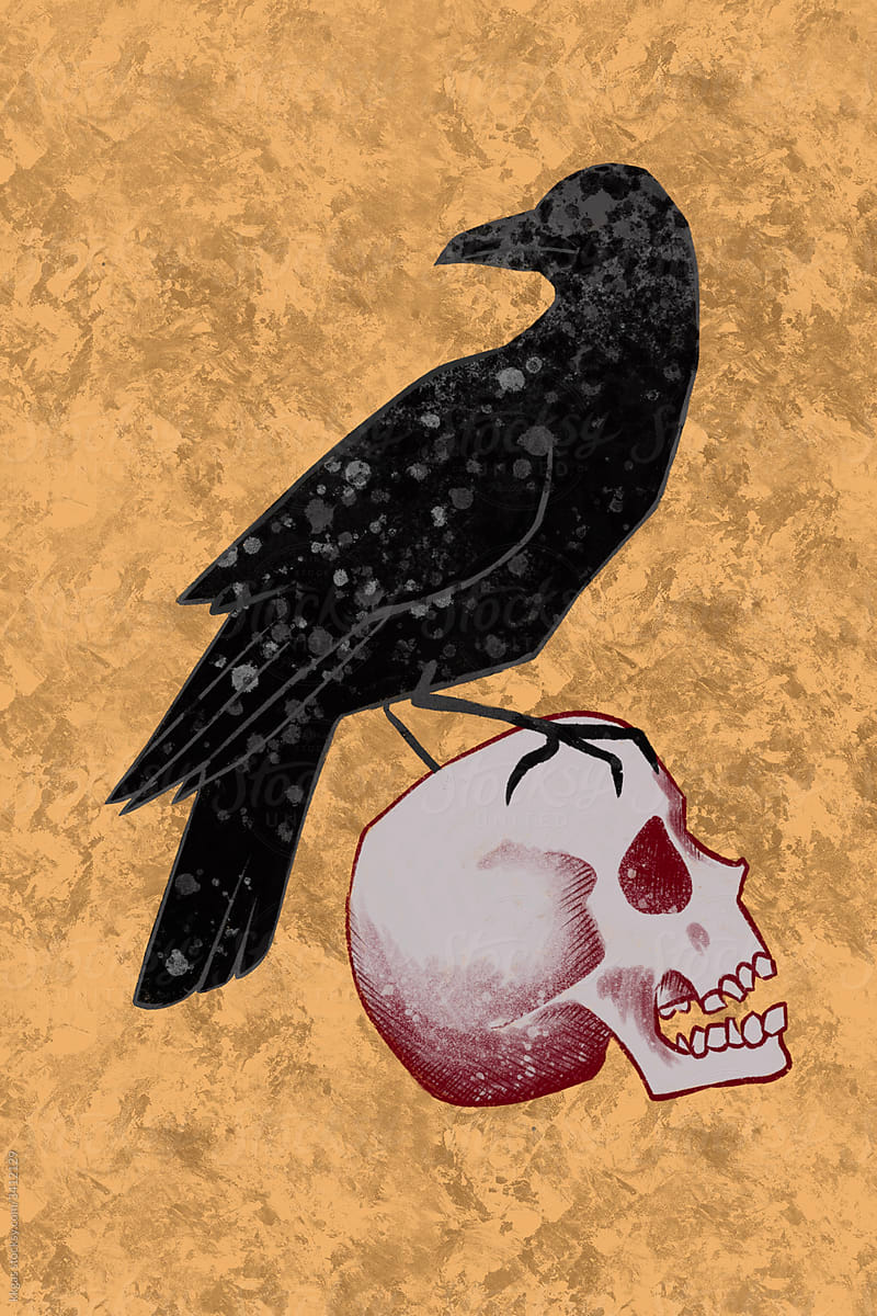 Raven and skull illustration.