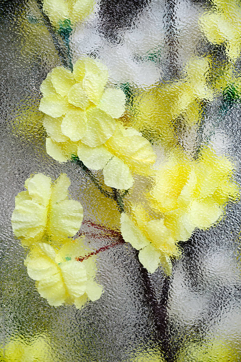 rhododendron grab Rhododendron main image 0