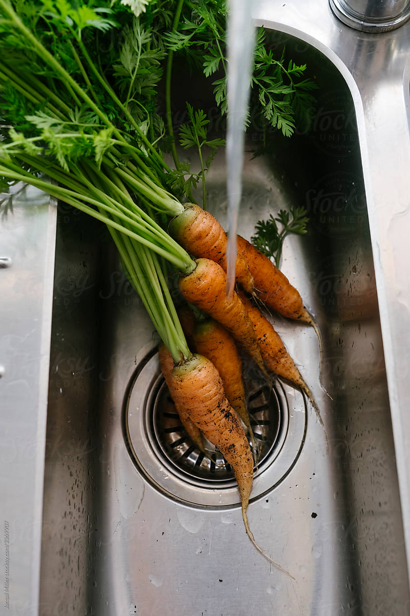 Tap water running over freshly picked carrots