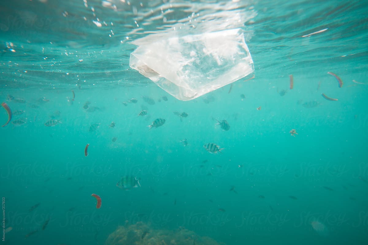 Plastic Bag in the Ocean