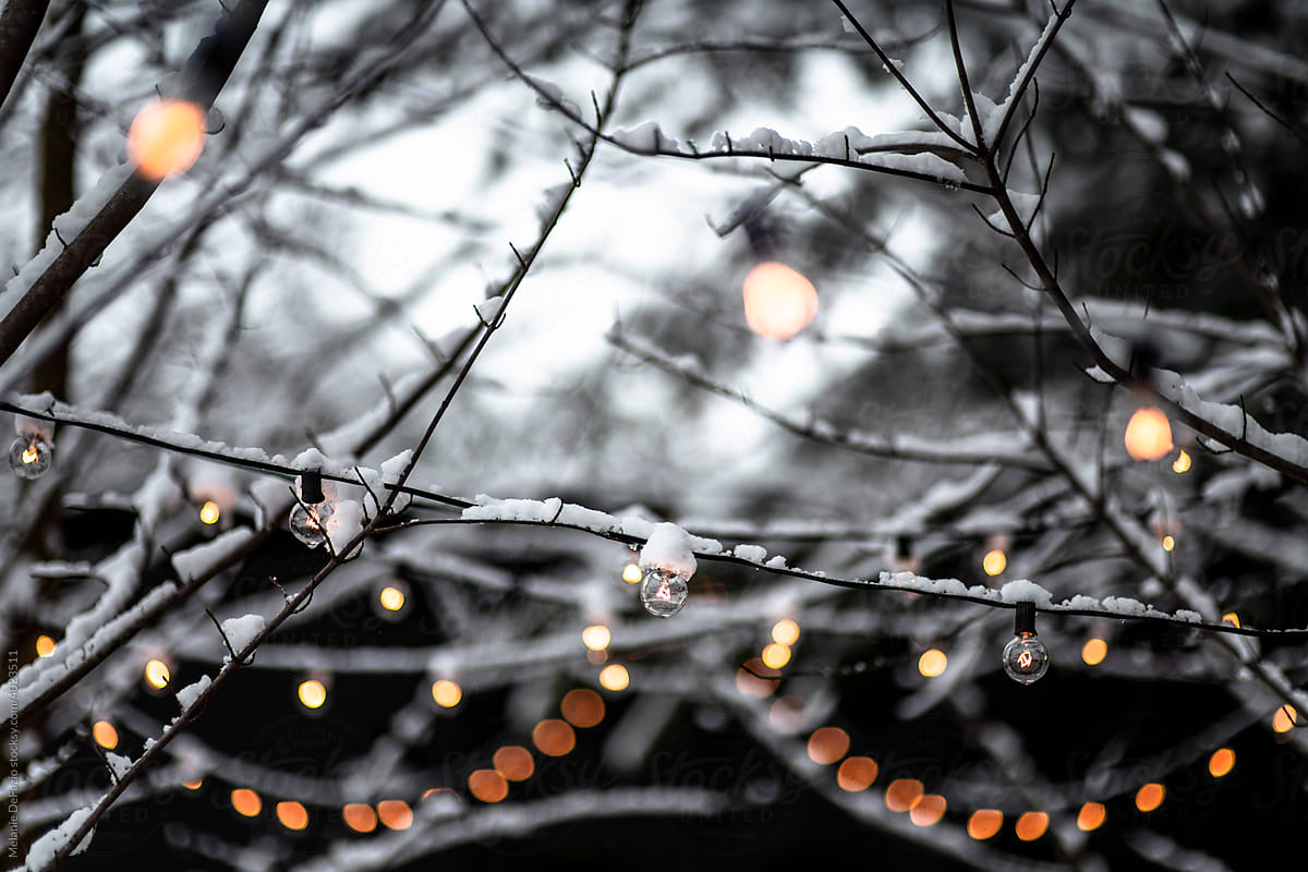 Winter lights - Stock Image - Everypixel