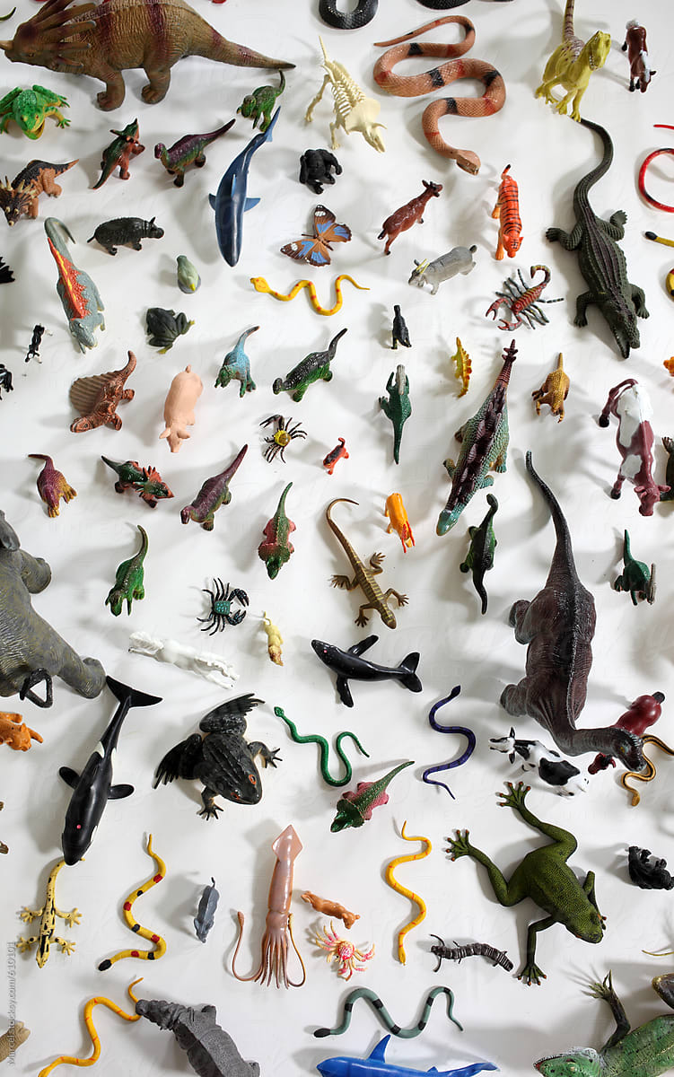 Colorful toy animal collection