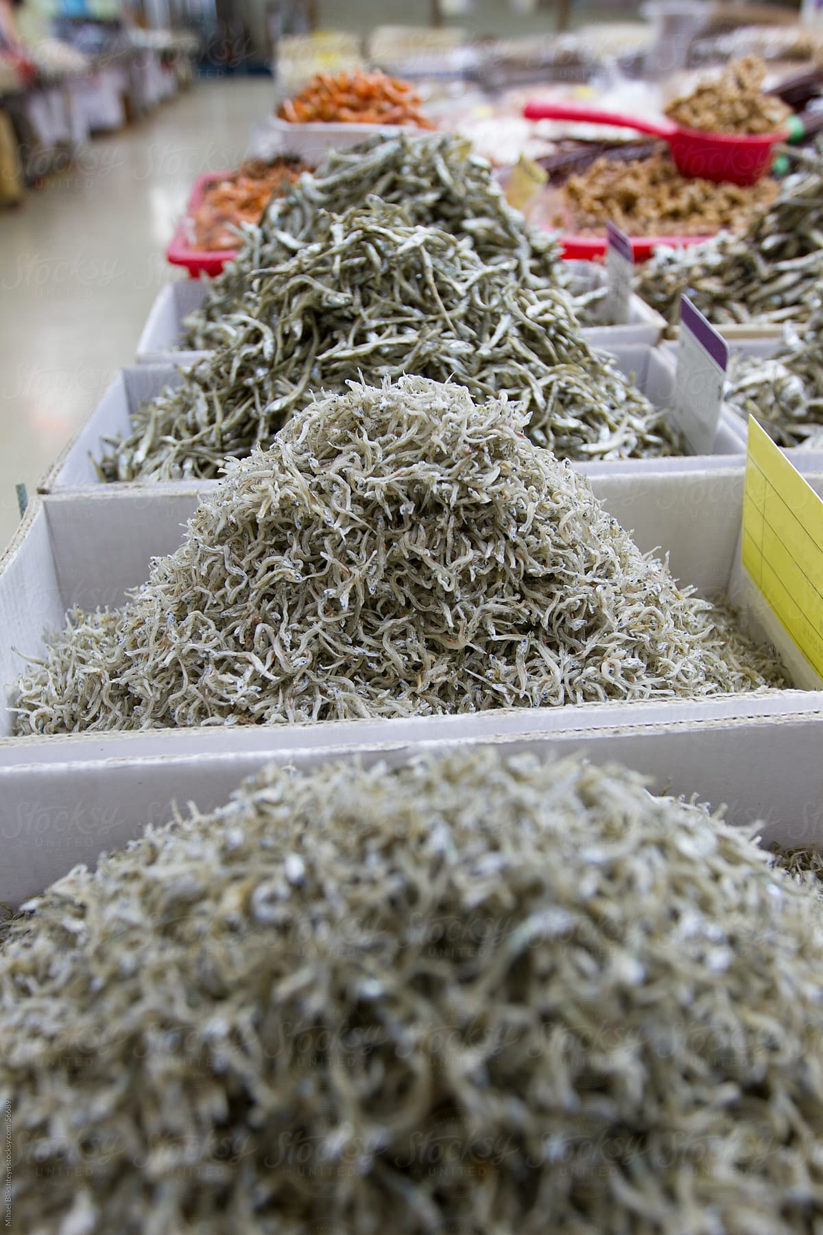 «Dried Fish For Sale At An Asian Seafood Market» del colaborador de Stocksy «Misha Dumov» Stocksy