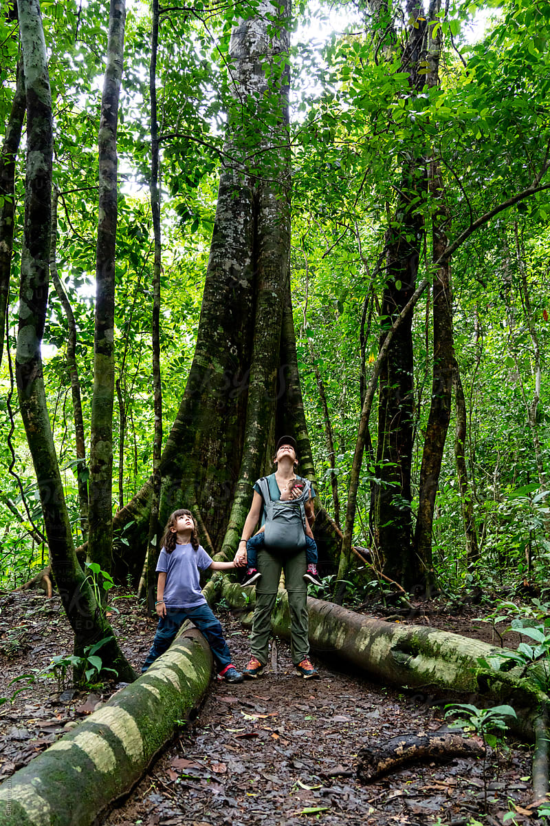 Family looking to the tropical forest. Costa Rica