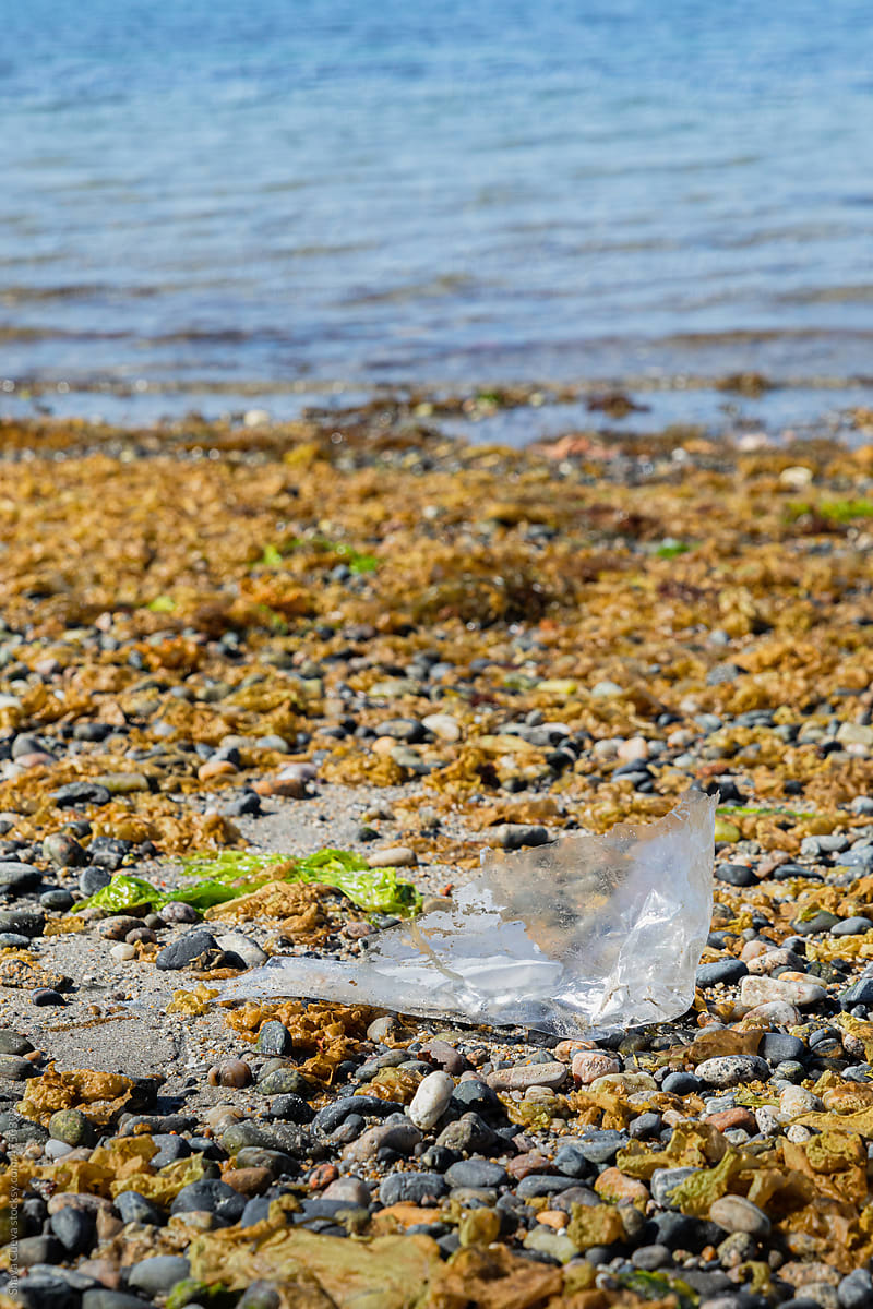 plastic bag thrown in front of the sea