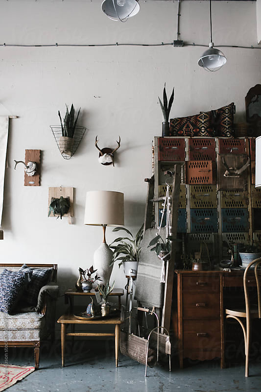 interior of vintage shop with furniture and plants