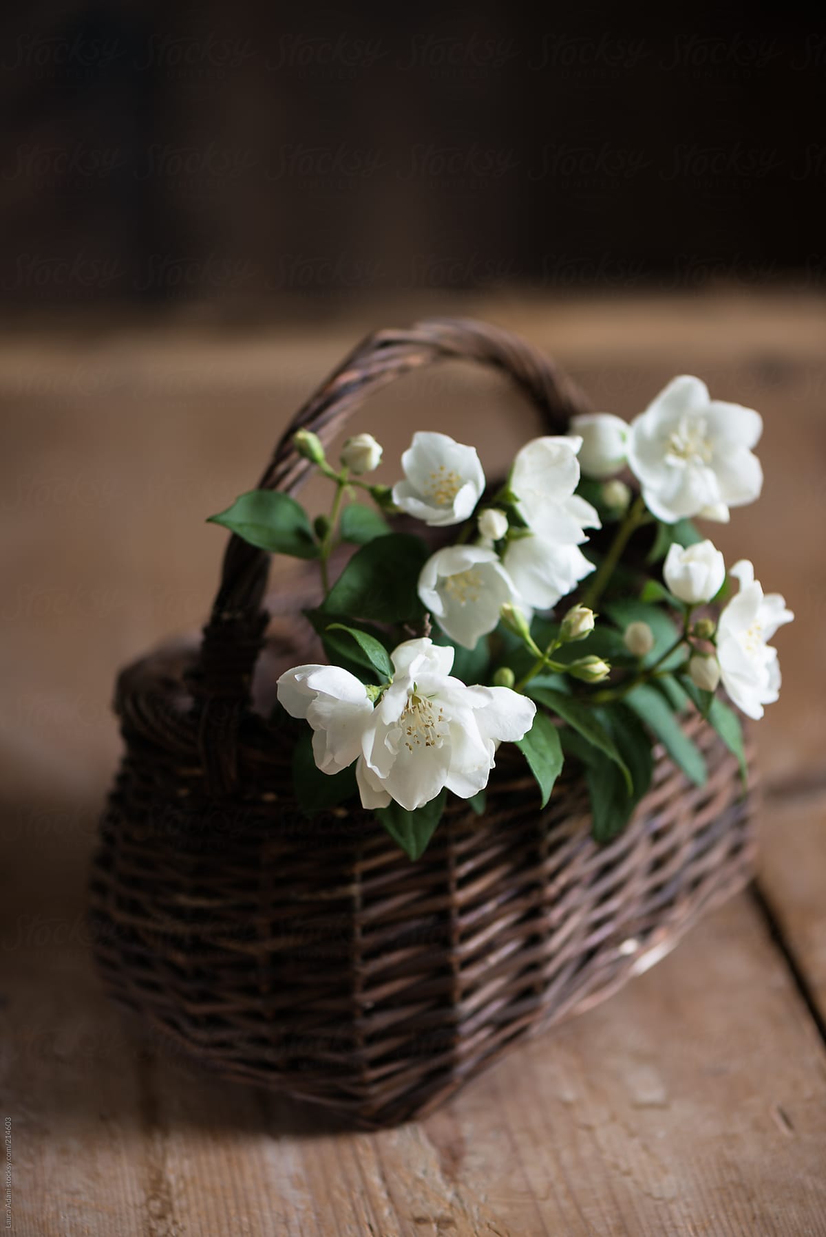 a basket of flowers