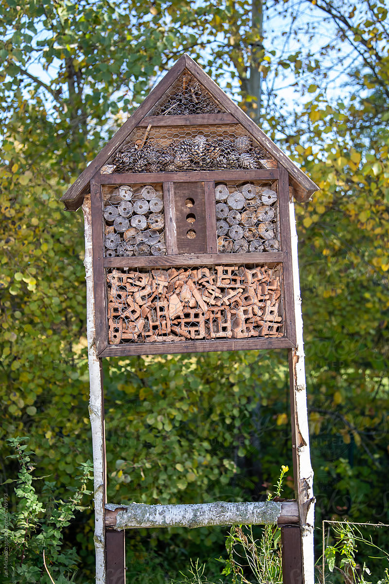 Self-made insect house
