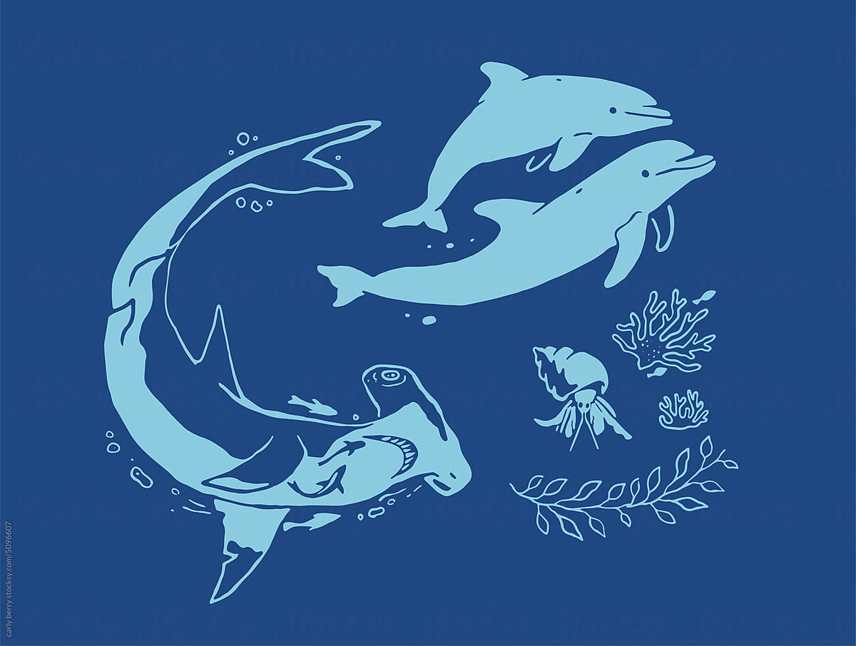 Shark and Dolphins