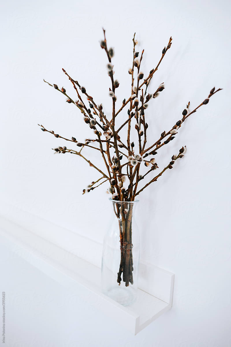 Spring branches in a glass vase.