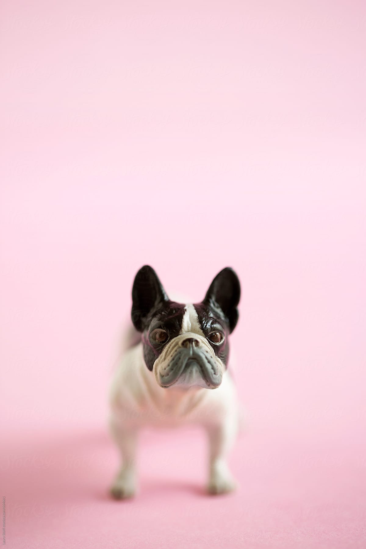 French bulldog shaped miniature on pink