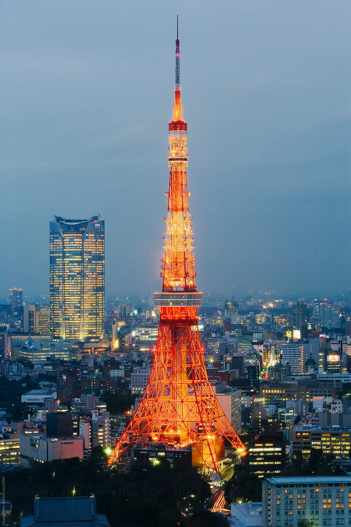 Asia, Japan, Honshu, Tokyo, Tokyo Tower (330m), illuminated at night
