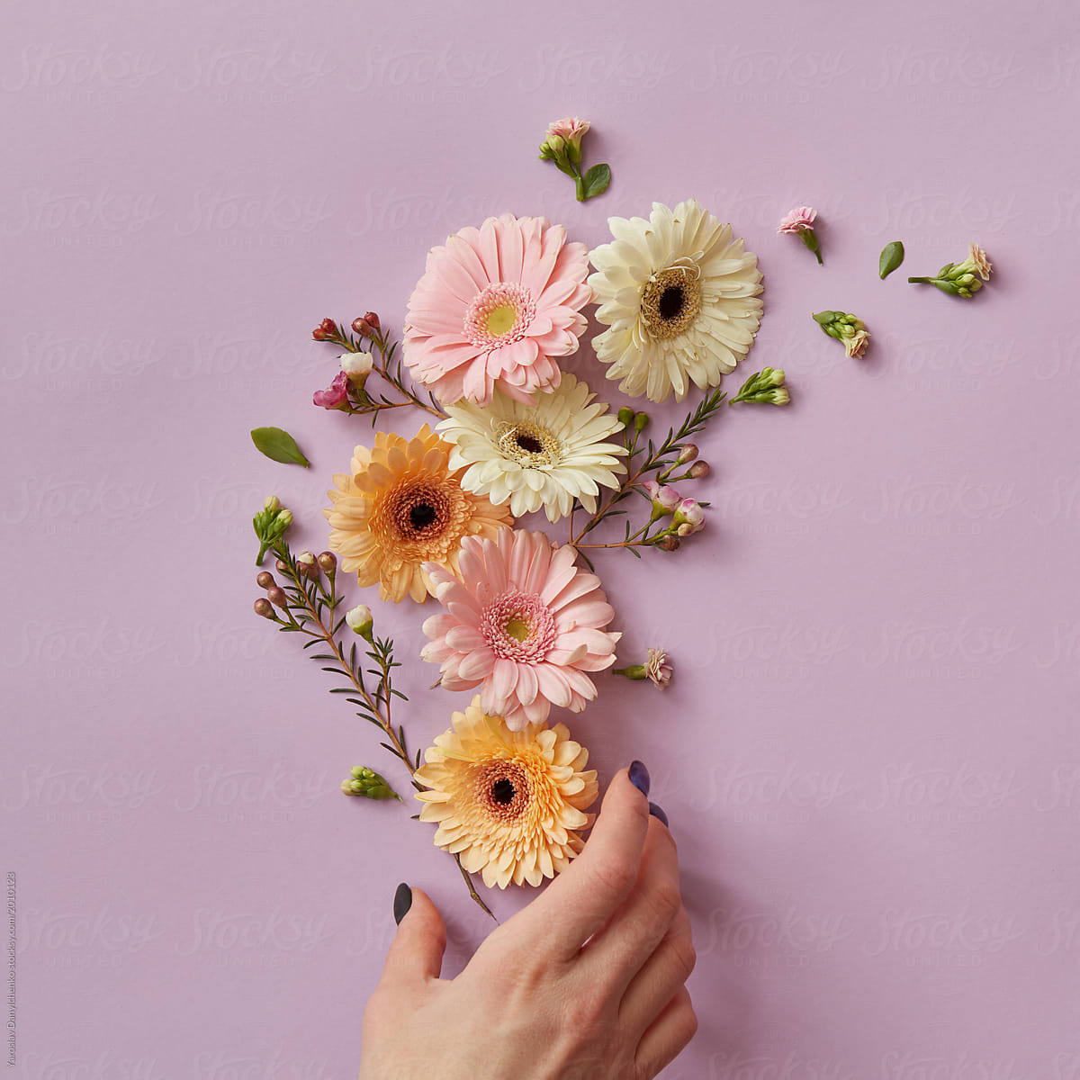 Composition from different gerberas and branches with pink flowers on a pink background