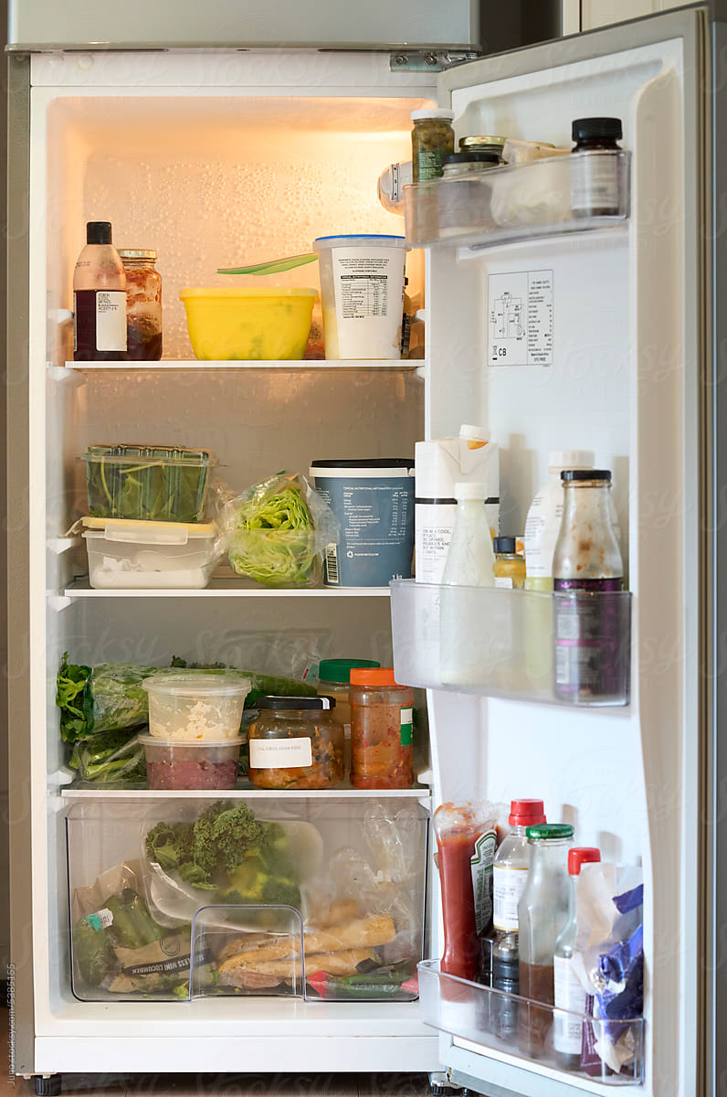 Contents of a fridge