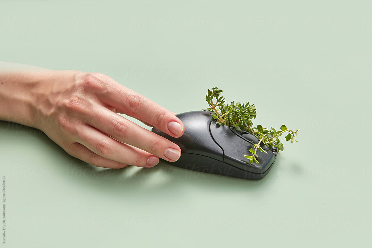 Hand touching computer mouse with plant