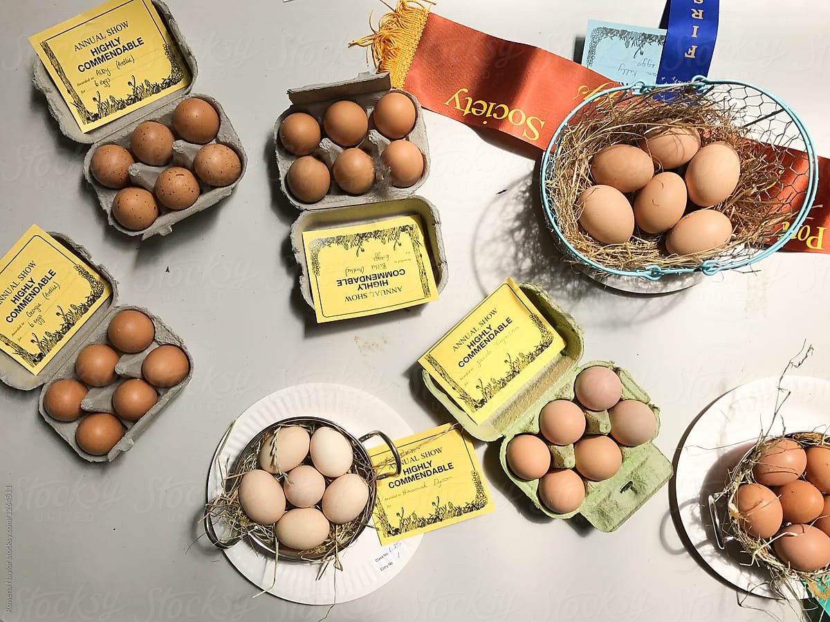 Free range eggs entries at Australian Country Show