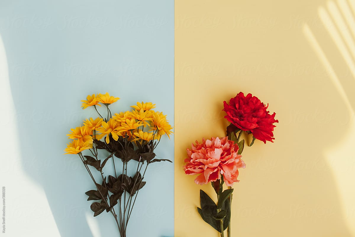 Contrasting Flowers