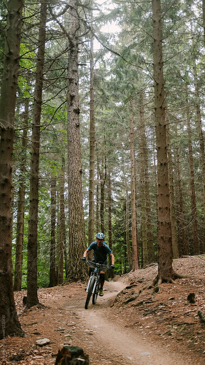 Mountain biker In The Forest
