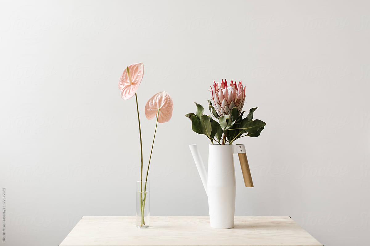 vase of light pink flowers and watering can with large flower