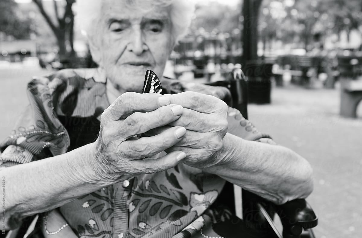 Elderly woman in wheelchair  with aged hands examining a delicate wing of a butterfly