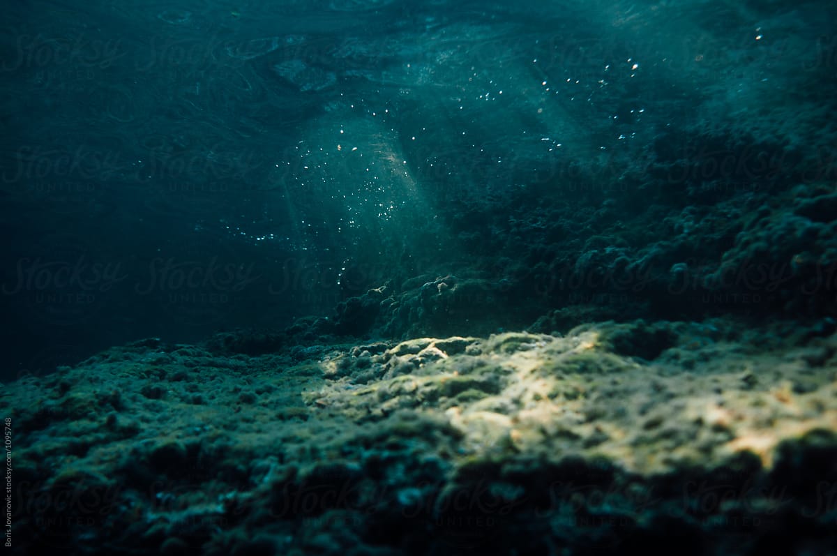 View Under The Sea Porboris Jovanovic Sea Underwater 
