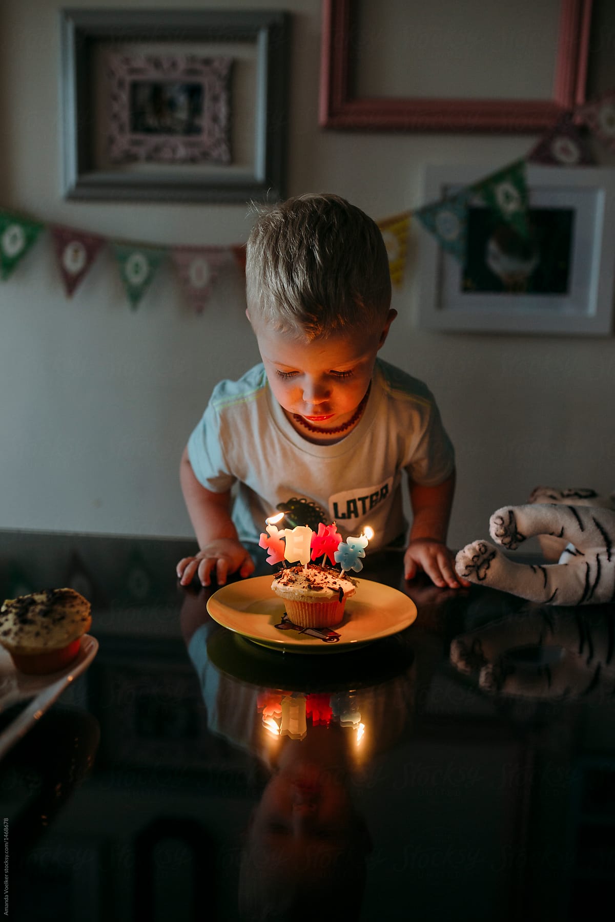 Toddler Boy Blows out his Birthday Candles