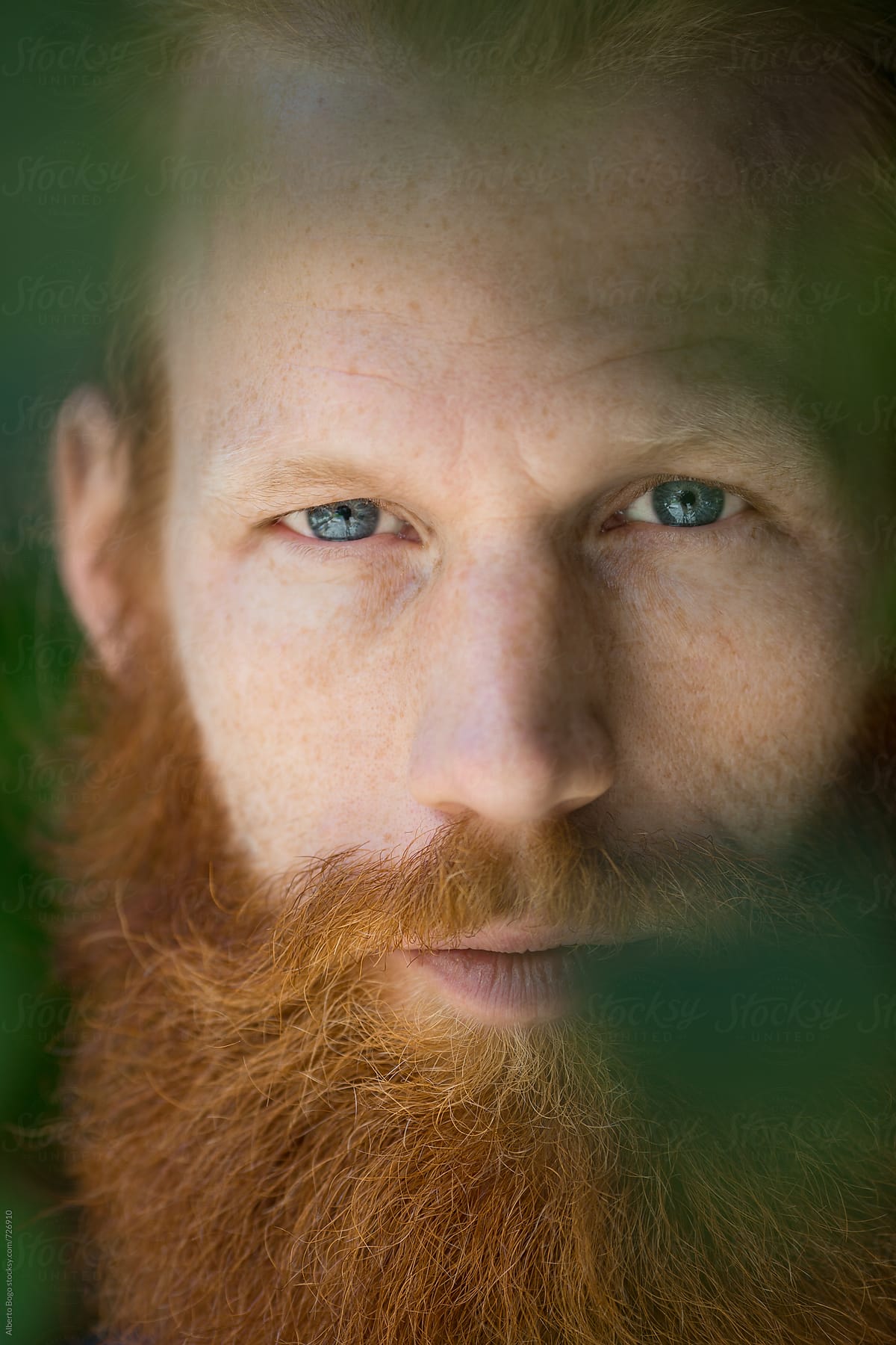 Portrait of Man with red beard