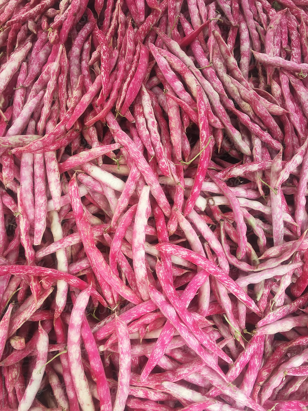 Pink beans