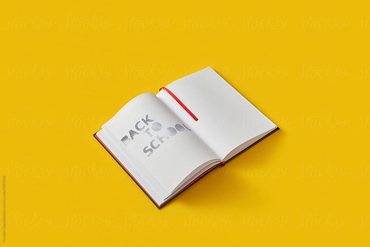 Back to school phrase cut out in copybook.