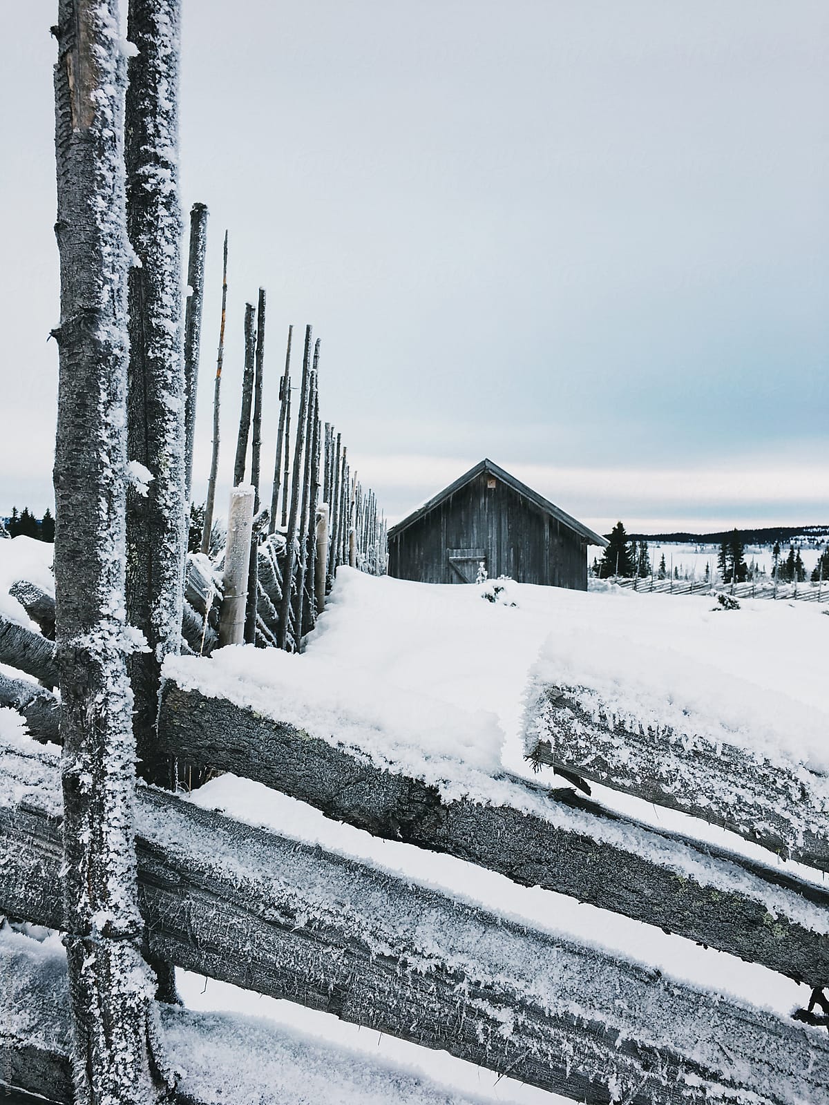 Wooden Fence and Cabin in White Scandinavian Winter Landscape